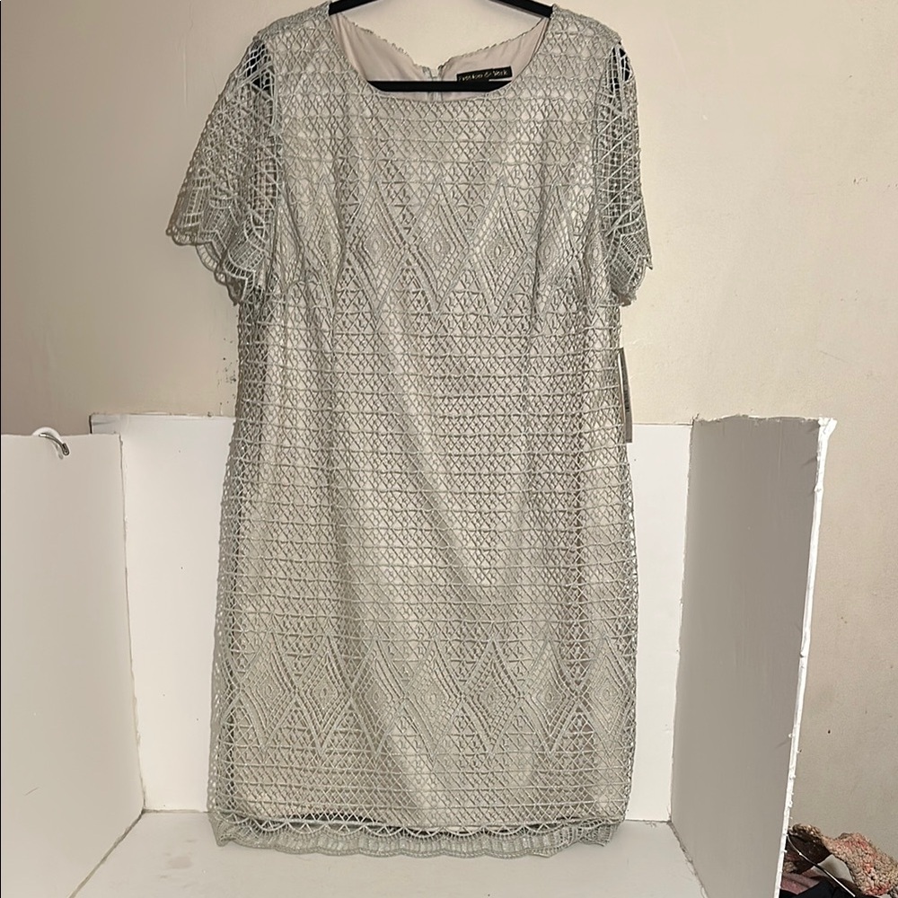 Preston & York Lace Midi Dress in Light green